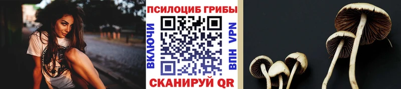 Псилоцибиновые грибы Psilocybine cubensis  Лаишево 